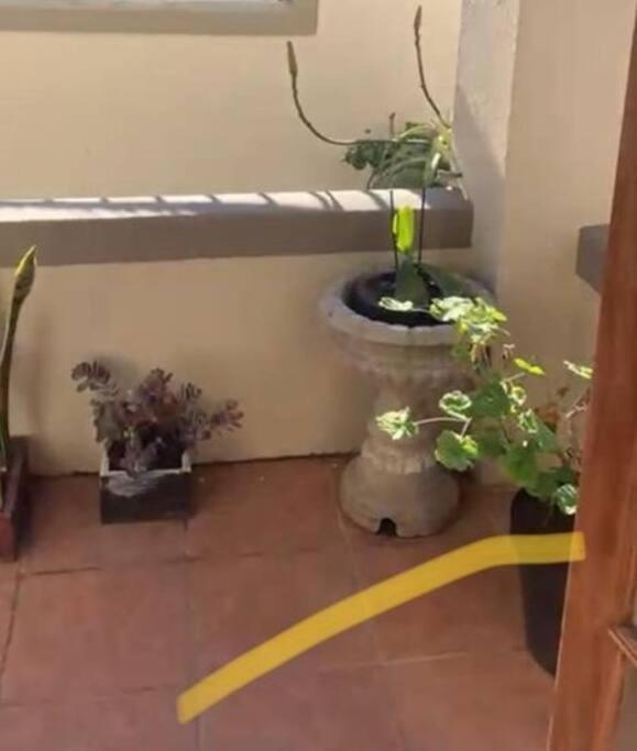 1-Bedroom Sea Point Gem - Perfect Location! Cape Town Eksteriør bilde